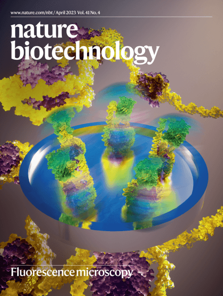 Systematic discovery of recombinases for efficient integration of large DNA sequences into the human genome