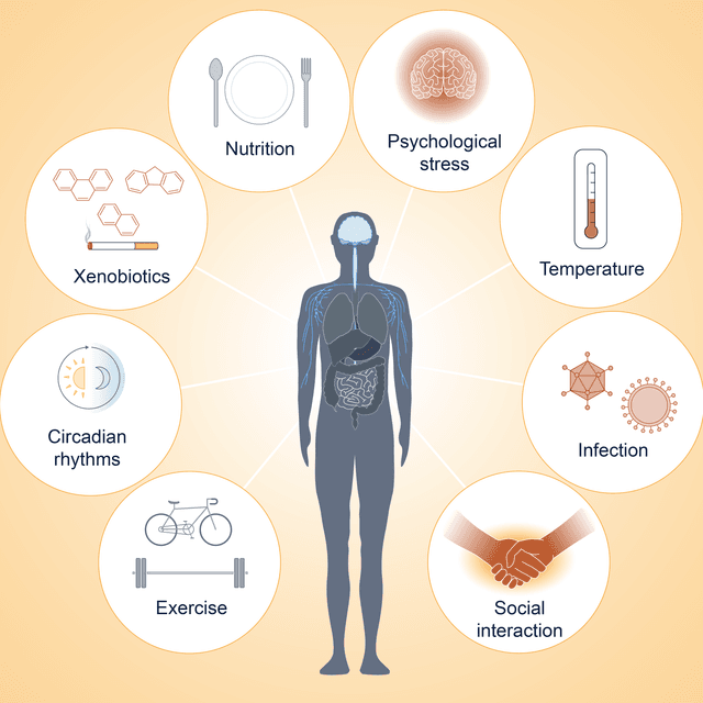 Environmental and lifestyle impacts on disease