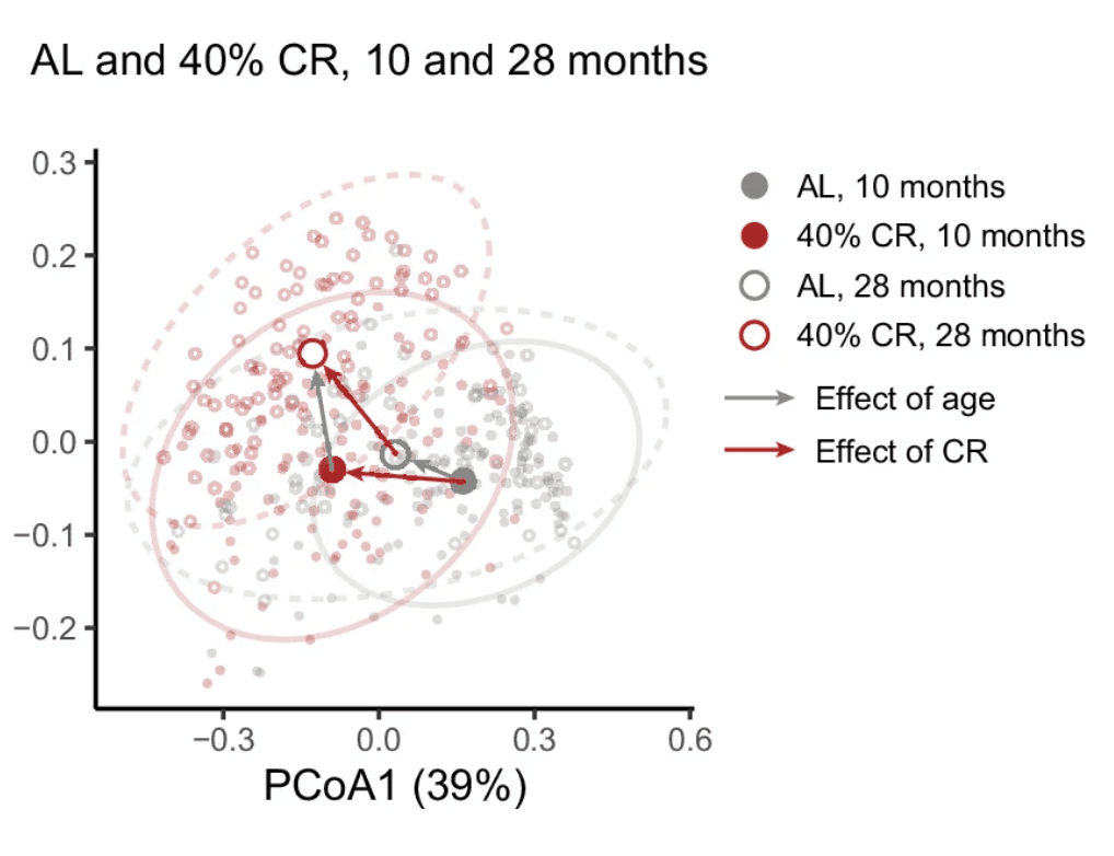 Gut metagenomes reveal interactions between dietary restriction, ageing and the microbiome in genetically diverse mice