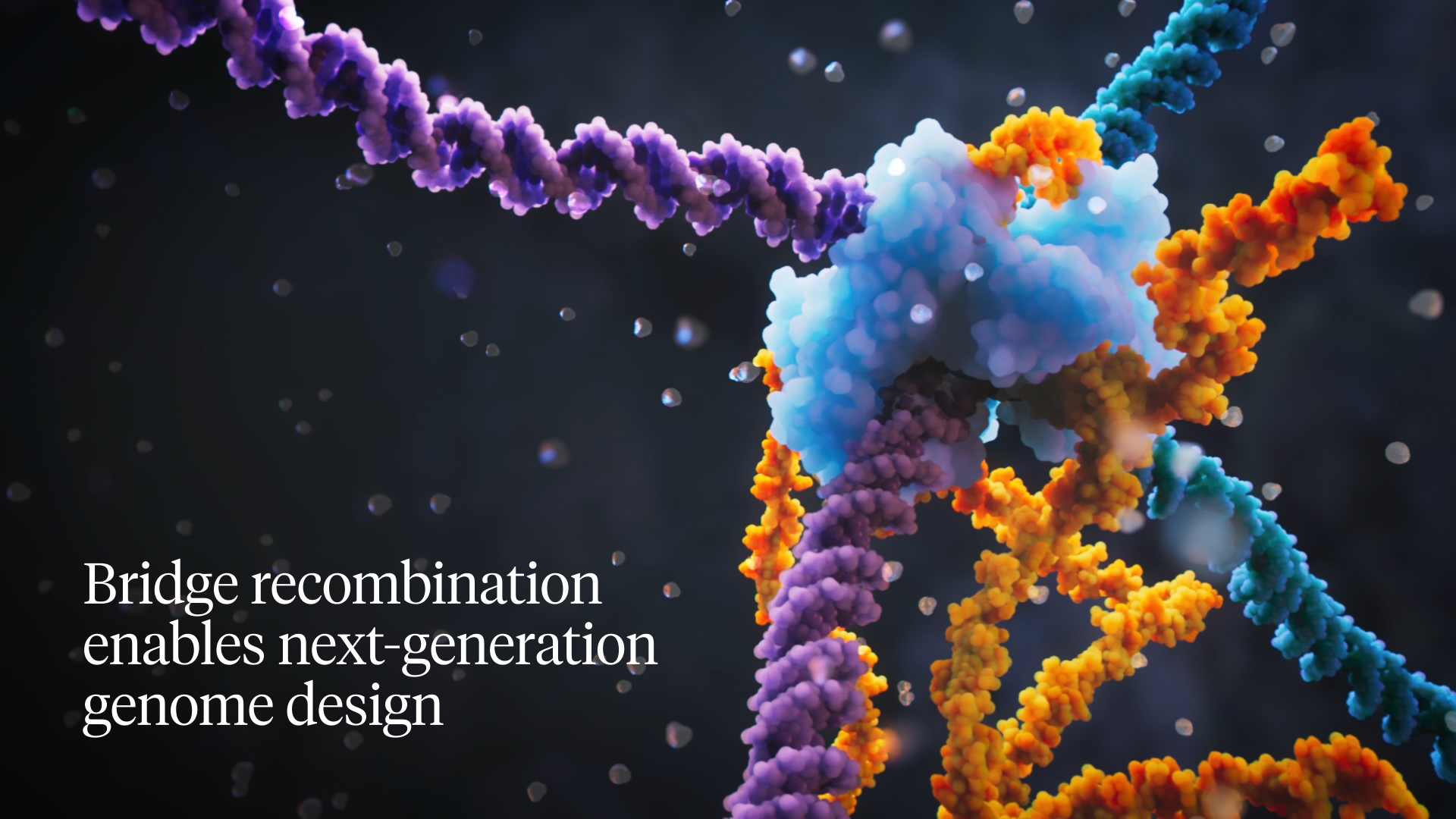 Bridge recombination enables next-generation genome design