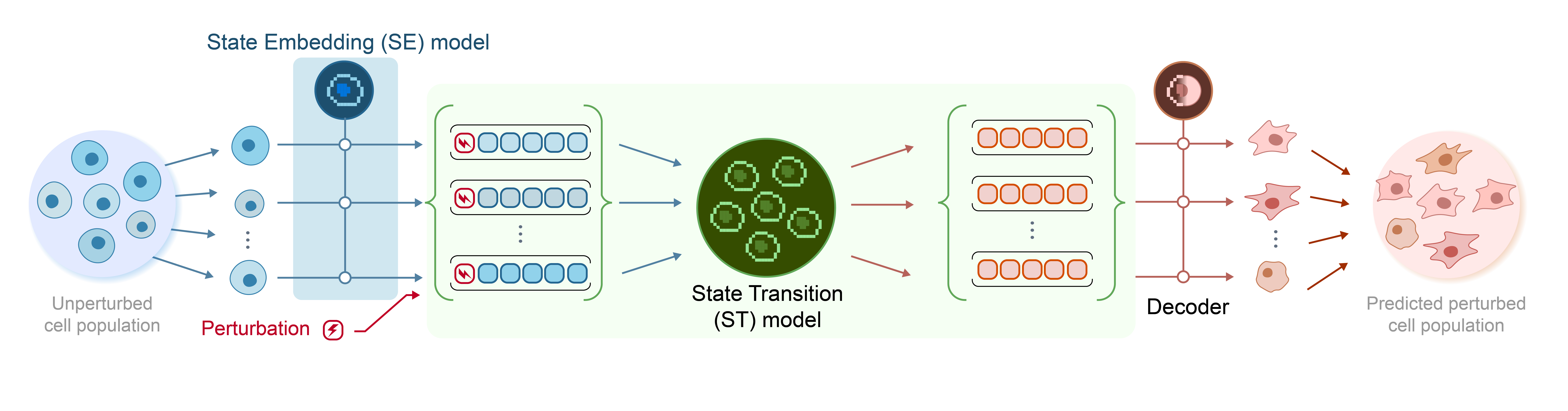 State Model Structure